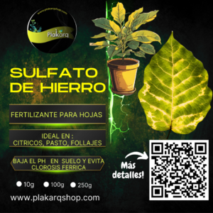Hierro para plantas Nutriente 100gr PMQ331