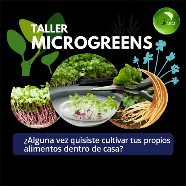 Imagen promocional del curso online de microgreens. Taller práctico para cultivar brotes comestibles en casa con Rodrigo Plakarq. Curso certificado en español.