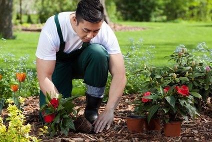 Tu jardinero online en casa