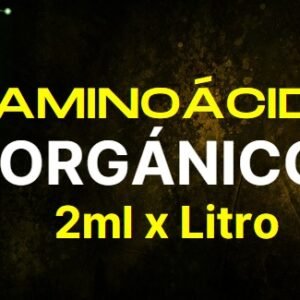 Aminoácidos - Proteínas Vegetal