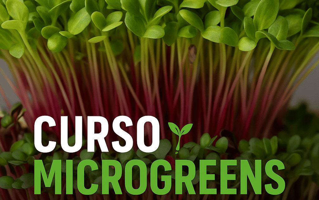 Banner del curso online de microgreens con certificado oficial STPS en español