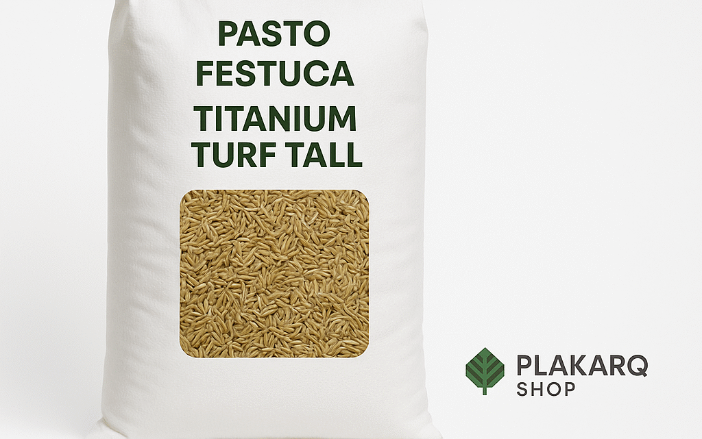 Semilla de pasto Festuca Titanium Turf Tall premium para césped verde, denso y resistente, ideal para climas fríos y secos con envío gratis a todo México