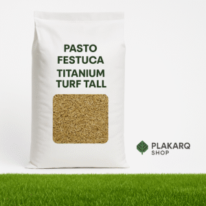 Semilla de pasto Festuca Titanium Turf Tall premium para césped verde, denso y resistente, ideal para climas fríos y secos con envío gratis a todo México