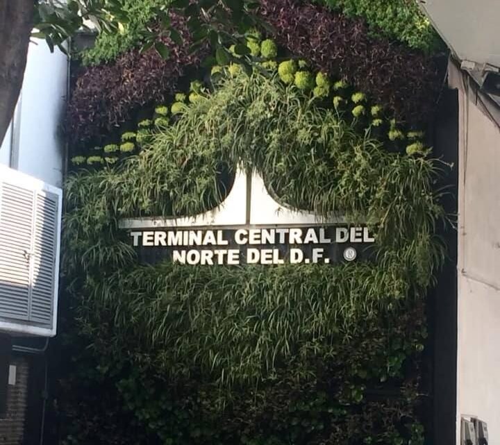 Muro verde modular MV-PLAKARQ instalado en fachada de edificio moderno, sistema prefabricado para arquitectura sustentable