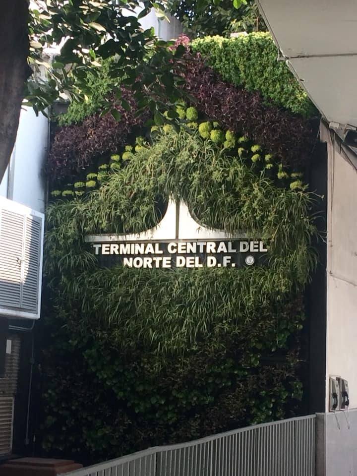 People embracing sustainable living through green architecture and circular economy practices — symbolizing eco-friendly business, renewable energy, and urban nature growth.