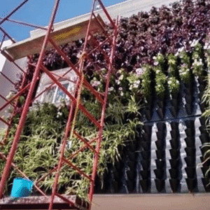 Panel MV-PLAKARQ | Módulo para Bio Muros Verdes con Bajo Mantenimiento y Alta Durabilidad