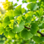 Ginkgo biloba con hojas verdes en forma de abanico iluminadas por la luz solar.